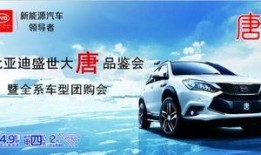 深圳比亚迪爆料新闻最新,深圳工厂重大突破，引领新能源汽车产业新篇章