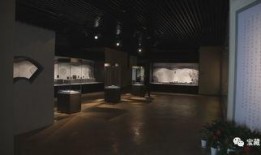 博物馆爆料视频,视频爆料带你探秘珍贵藏品背后的故事